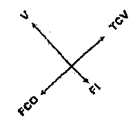 Diagrama de vetores: V para noroeste, TCV para nordeste, FCO para sudoeste e FI para sudeste.