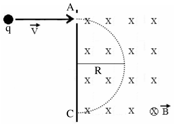 A partícula q, com velocidade v⃗ horizontal para a direita, entra pelo ponto A numa região de campo magnético B⃗ entrando no plano (marcas x); dentro da região descreve uma semicircunferência tracejada de raio R até o ponto C, situado abaixo de A na mesma fronteira vertical.