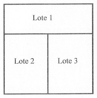 Figura: quadrado dividido em Lote 1, faixa horizontal superior, e Lotes 2 e 3, lado a lado na parte inferior.