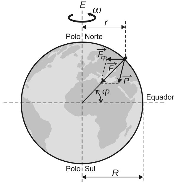 Terra com eixo de rotação E vertical, velocidade angular ω, Polo Norte, Polo Sul e Equador. Um corpo na superfície, na latitude φ, descreve círculo de raio r em torno do eixo; R é o raio da Terra. No corpo estão representados os vetores F (para o centro da Terra), Fcp (horizontal, para o eixo) e P (peso aparente).