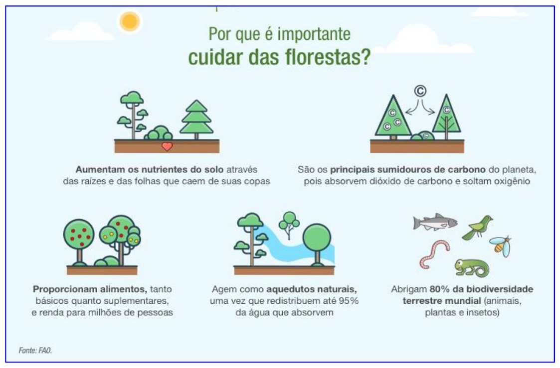 Infográfico “Por que é importante cuidar das florestas?” com cinco tópicos ilustrados: aumentam os nutrientes do solo através das raízes e das folhas que caem de suas copas; são os principais sumidouros de carbono do planeta, pois absorvem dióxido de carbono e soltam oxigênio; proporcionam alimentos, tanto básicos quanto suplementares, e renda para milhões de pessoas; agem como aquedutos naturais, uma vez que redistribuem até 95% da água que absorvem; abrigam 80% da biodiversidade terrestre mundial (animais, plantas e insetos). Fonte: FAO.