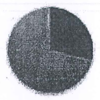 Gráfico de setores com um setor escuro de cerca de um quarto a um terço do círculo.