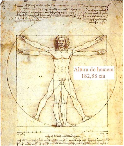 Desenho do Homem Vitruviano de Leonardo da Vinci, com a indicação “Altura do homem 182,88 cm”.