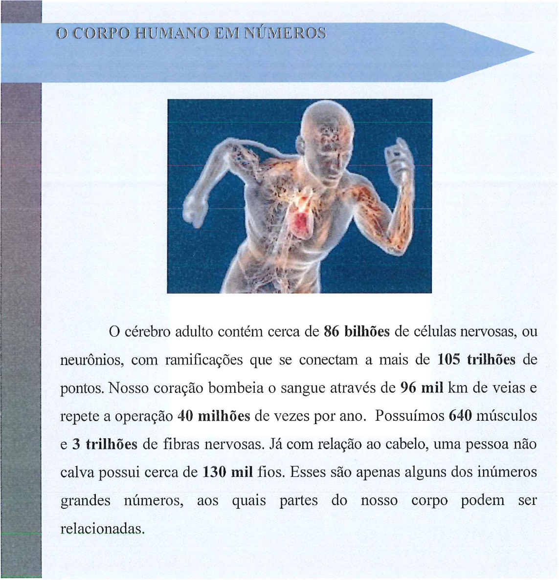 Quadro intitulado “O corpo humano em números”, com ilustração de um corpo humano correndo e o texto: O cérebro adulto contém cerca de 86 bilhões de células nervosas, ou neurônios, com ramificações que se conectam a mais de 105 trilhões de pontos. Nosso coração bombeia o sangue através de 96 mil km de veias e repete a operação 40 milhões de vezes por ano. Possuímos 640 músculos e 3 trilhões de fibras nervosas. Já com relação ao cabelo, uma pessoa não calva possui cerca de 130 mil fios. Esses são apenas alguns dos inúmeros grandes números, aos quais partes do nosso corpo podem ser relacionadas. Em negrito no texto: 86 bilhões, 105 trilhões, 96 mil, 40 milhões, 640, 3 trilhões e 130 mil.