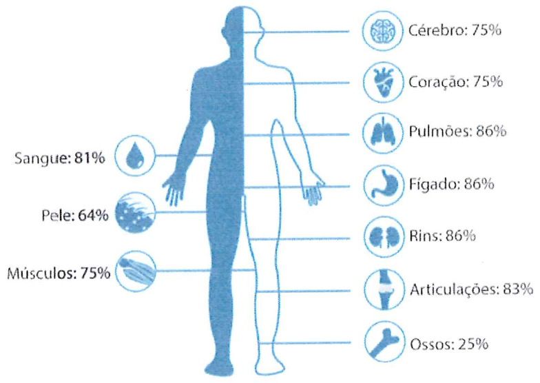 Silhueta do corpo humano com porcentagens de água: Sangue 81%, Pele 64%, Músculos 75%, Cérebro 75%, Coração 75%, Pulmões 86%, Fígado 86%, Rins 86%, Articulações 83%, Ossos 25%.