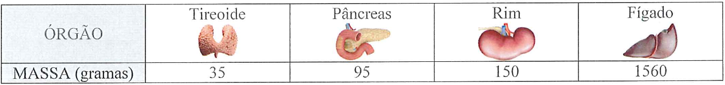 Tabela de massas de órgãos com ilustrações: Tireoide 35 gramas; Pâncreas 95 gramas; Rim 150 gramas; Fígado 1560 gramas.